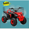 QUAD DE BATERIA
