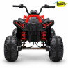 QUAD DE BATERIA